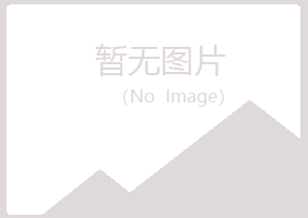 大同雅山会计有限公司